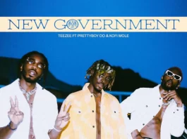 Teezee – New Government ft. Kofi Mole & Prettyboy D-O